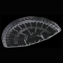 Untitled design (20)